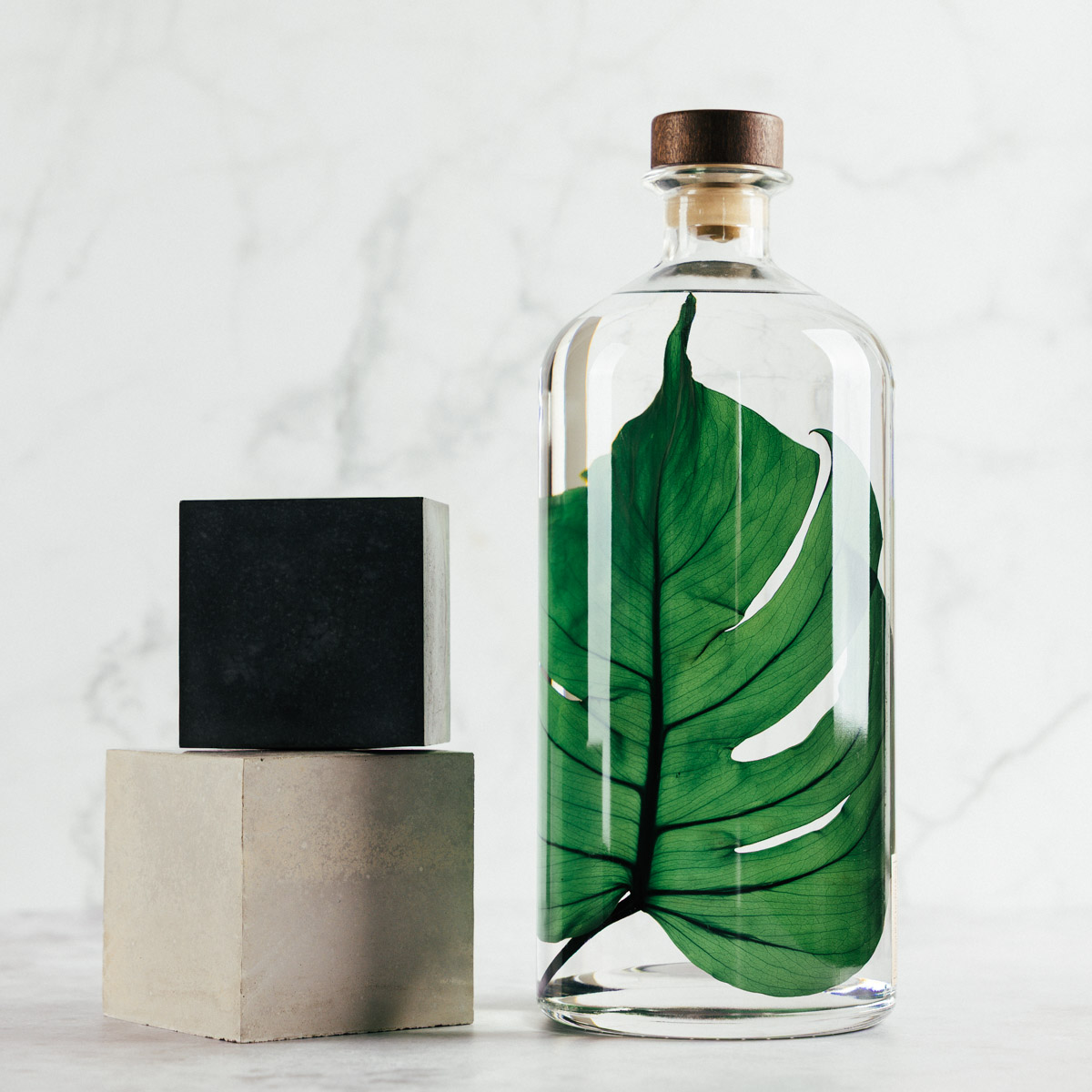 Théophile Berthon Herbarium XL Monstera 3 litres plante immergée