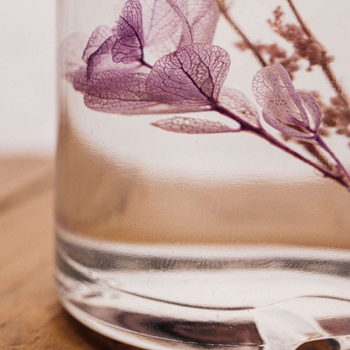 Théophile Berthon Herbarium hortensia lilas feuille chêne immergé