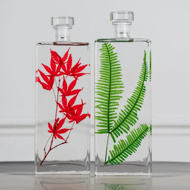 THEOPHILE BERTHON Plantes Immergées H26 capsule érable fougère