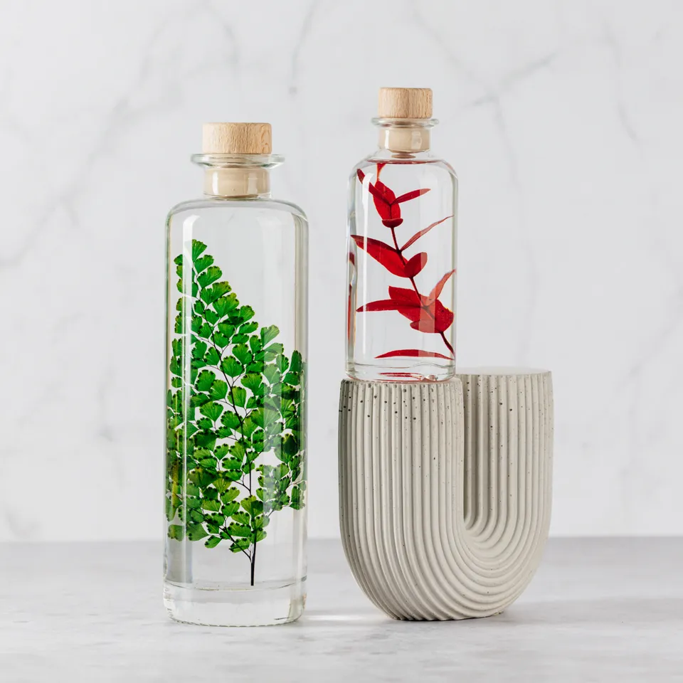 Théophile Berthon Plantes Immergées diptyque Parvifolia+Luthi plante