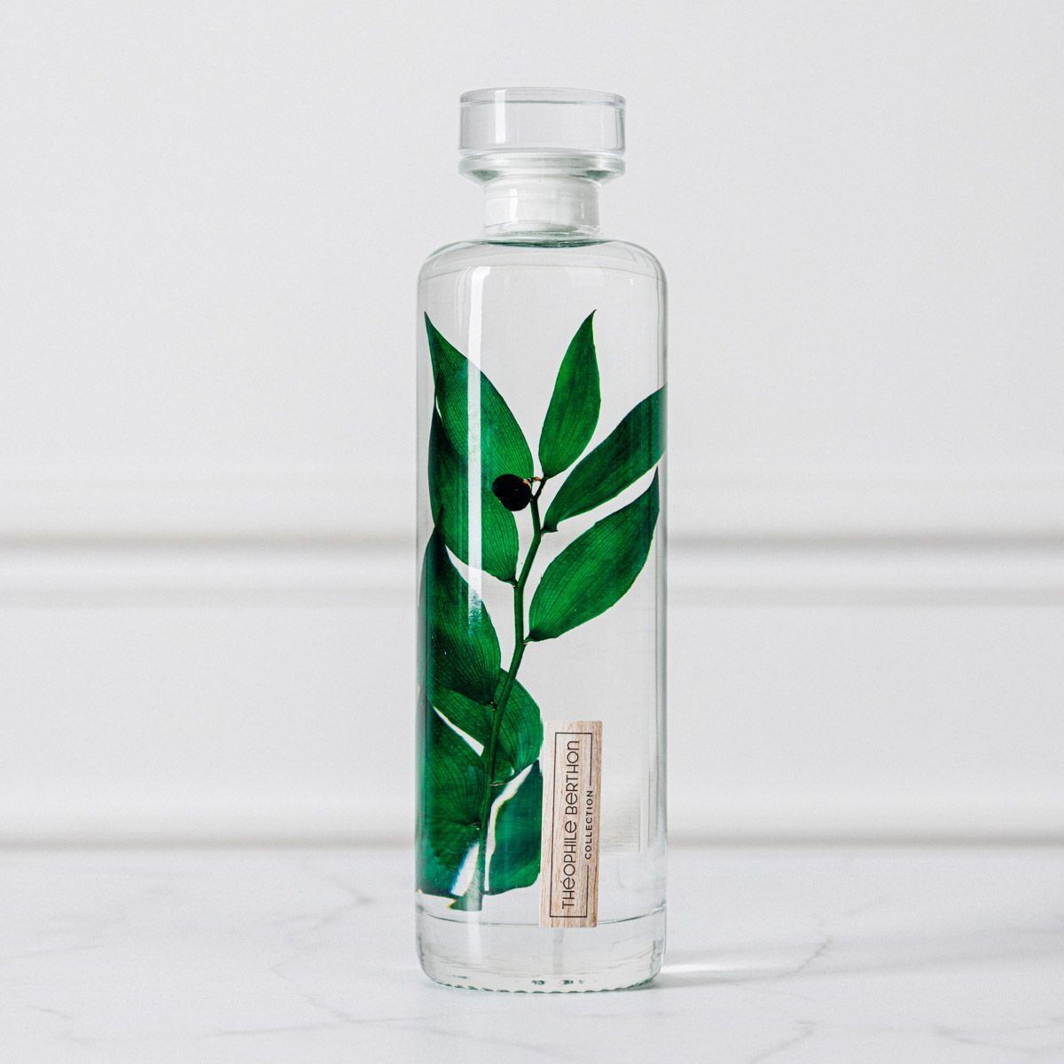 THEOPHILE BERTHON Herbarium Capsule Ruscus vert plante