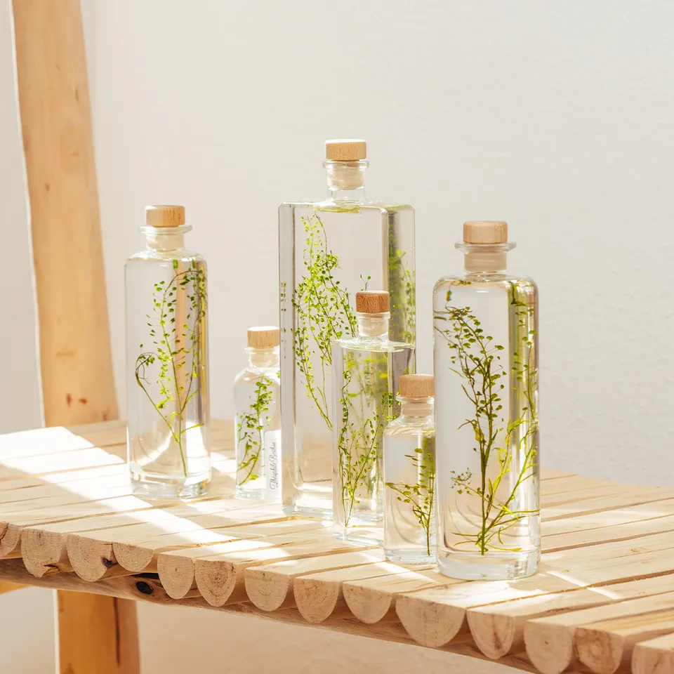 Théophile Herbarium Lepidium Vert plante immergée déco